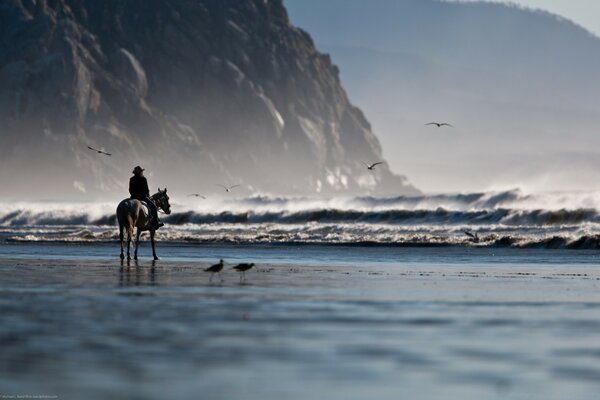 The foggy shore and the horseman on horseback