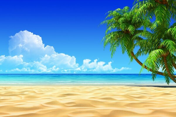 Beach, sky, sea and palm trees, romance