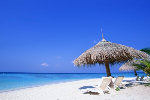 Playa tropical típica junto al océano