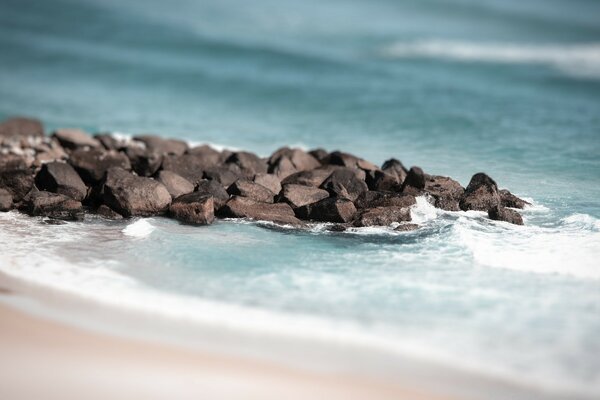 شاطئ البحر الحجري