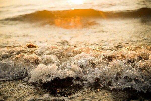 Sea landscape foam waters