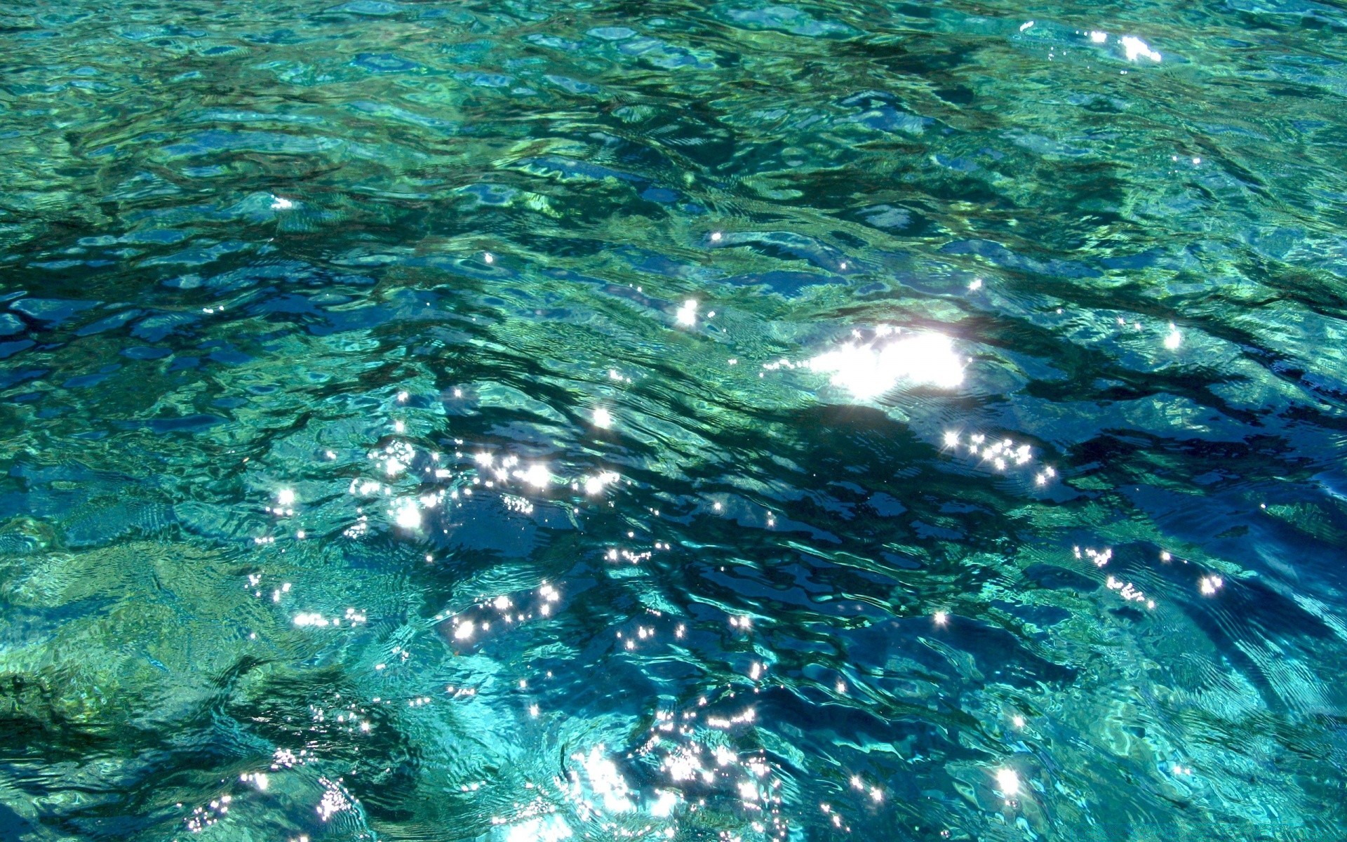 meer und ozean wasser unterwasser türkis nass meer schwimmen ozean natur desktop welle klar tropisch reisen oberfläche urlaub sauber spritzen