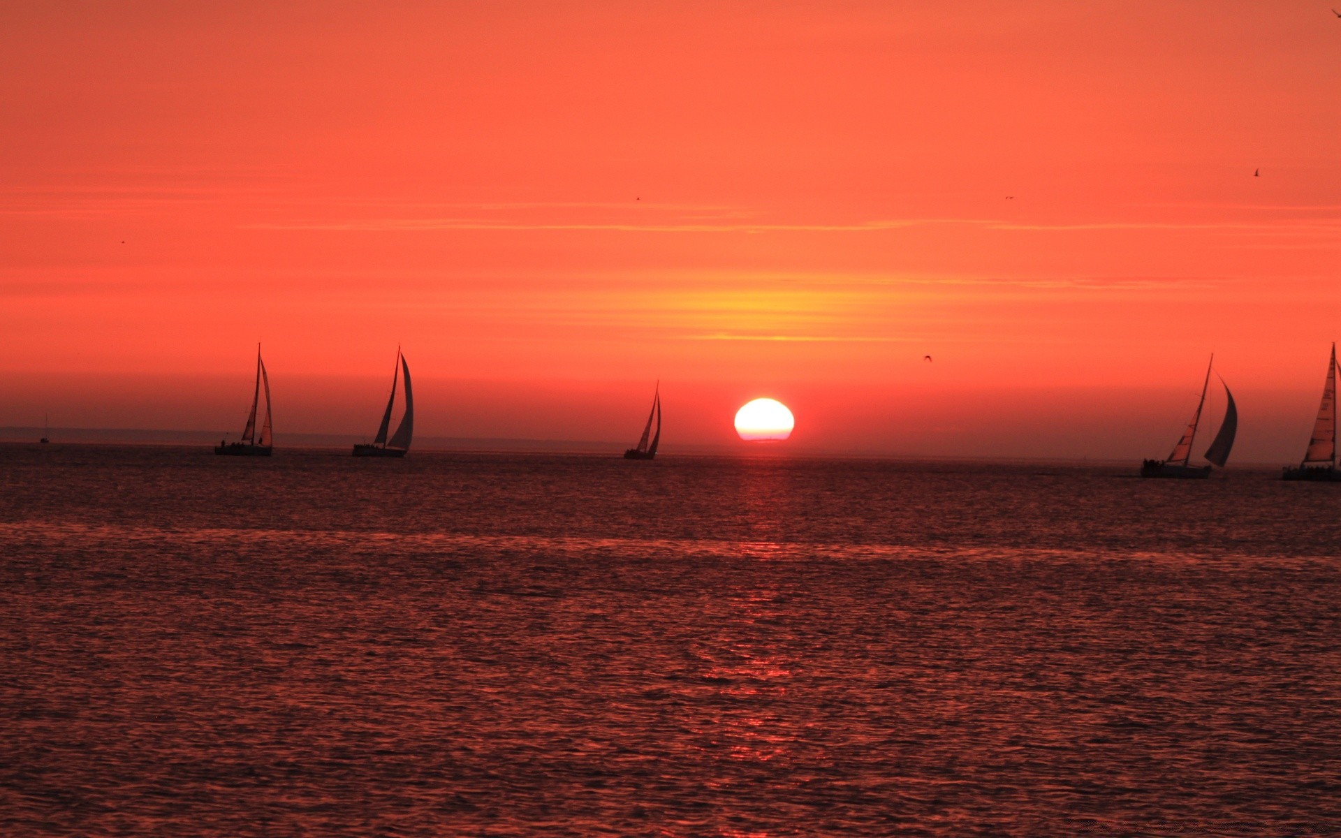 mer et océan coucher de soleil eau océan mer soir crépuscule plage aube voilier paysage soleil ciel réflexion mer paysage nature bateau bateau lac