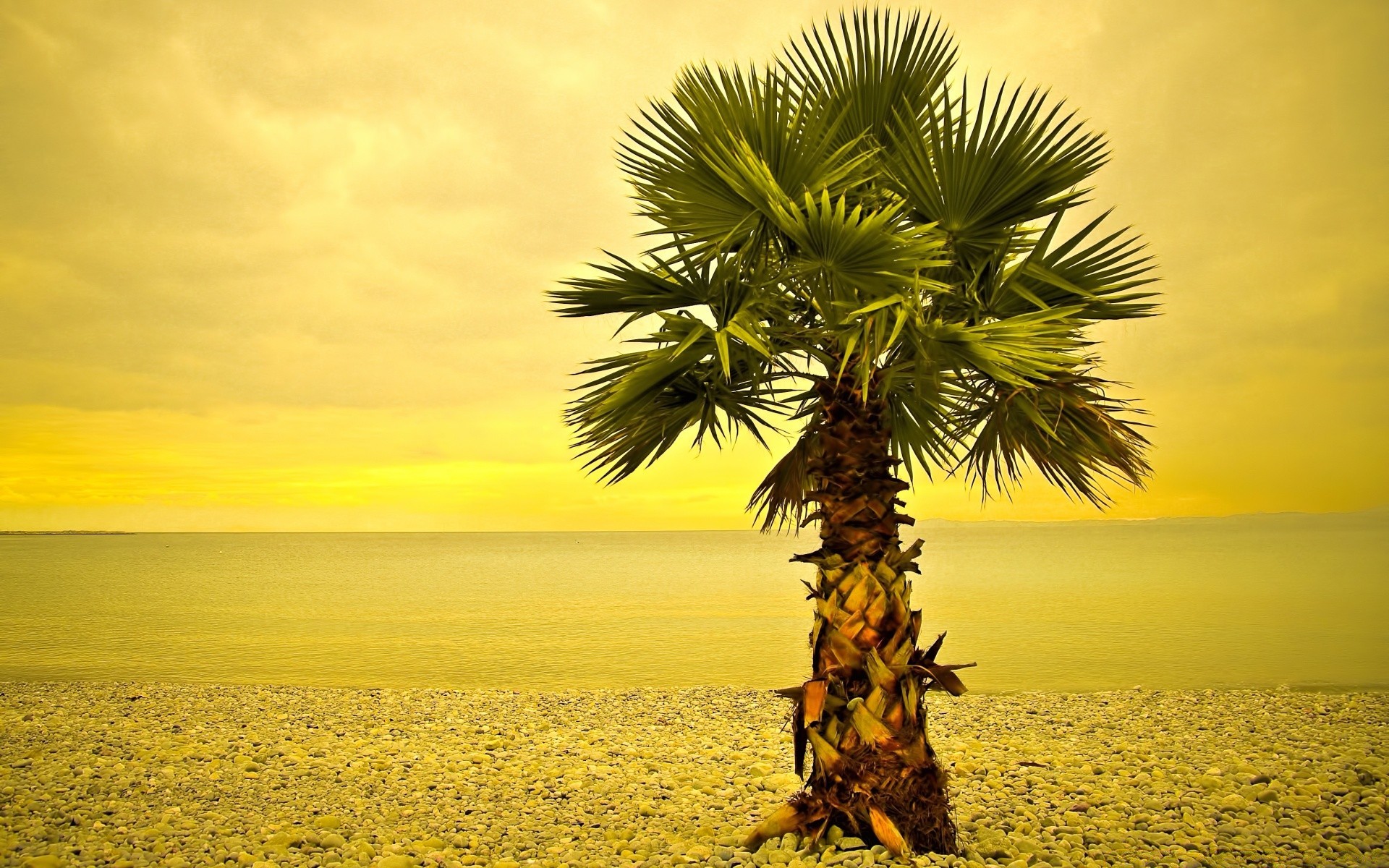 mare e oceano spiaggia tropicale sole estate sabbia natura oceano tramonto bel tempo mare cielo acqua albero mare isola esotico idillio viaggi palme