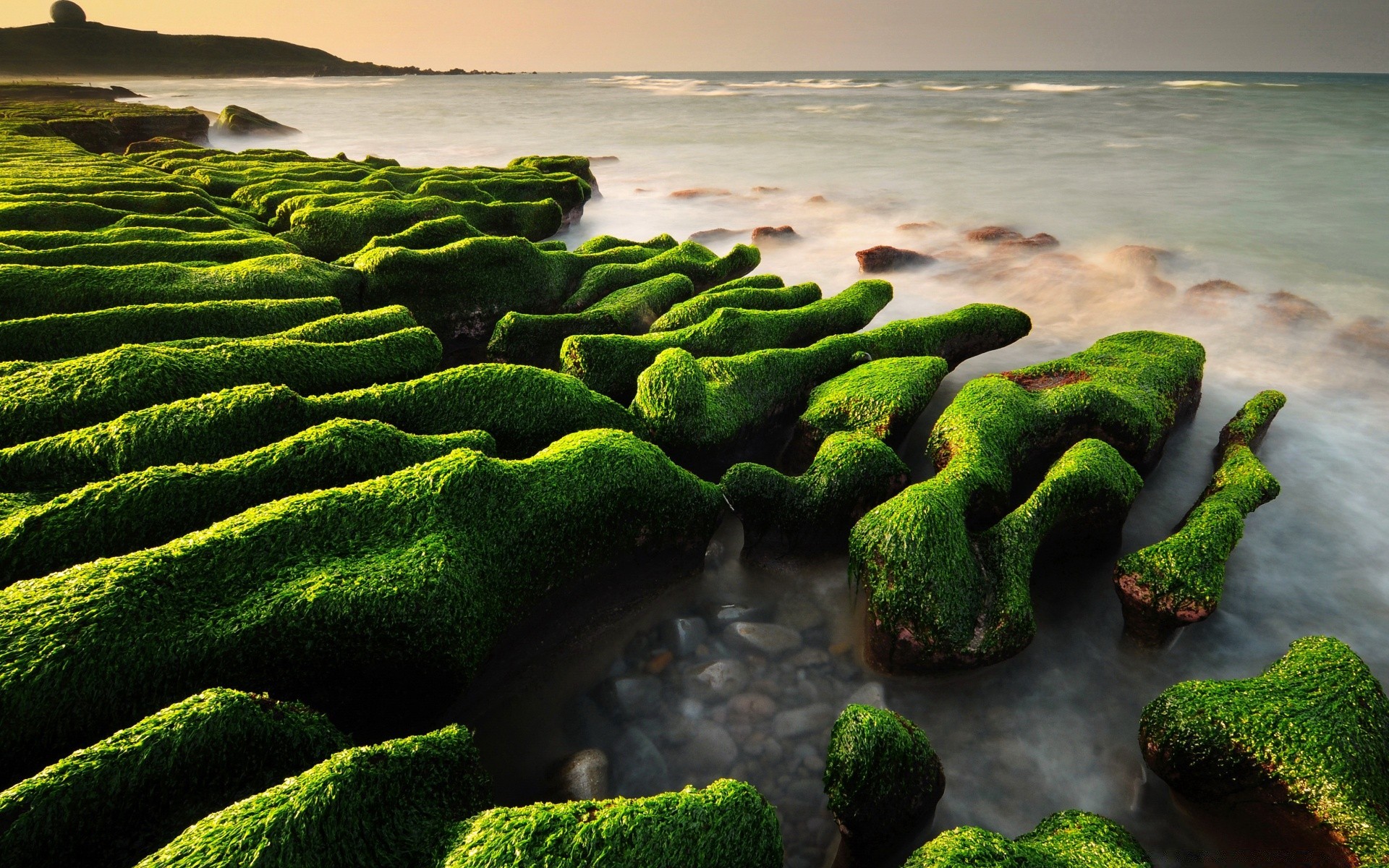 mare e oceano natura spiaggia acqua mare mare paesaggio cibo