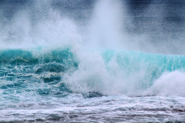 Surf the beauty of the seas and oceans