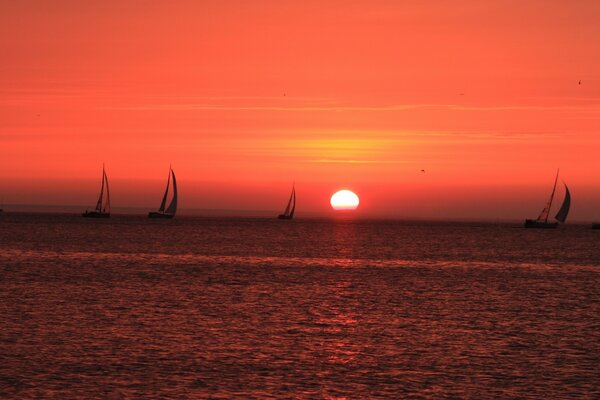 Beau coucher de soleil et petites carables