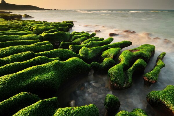 Fotos de piedras verdes en el fondo de la puesta de sol