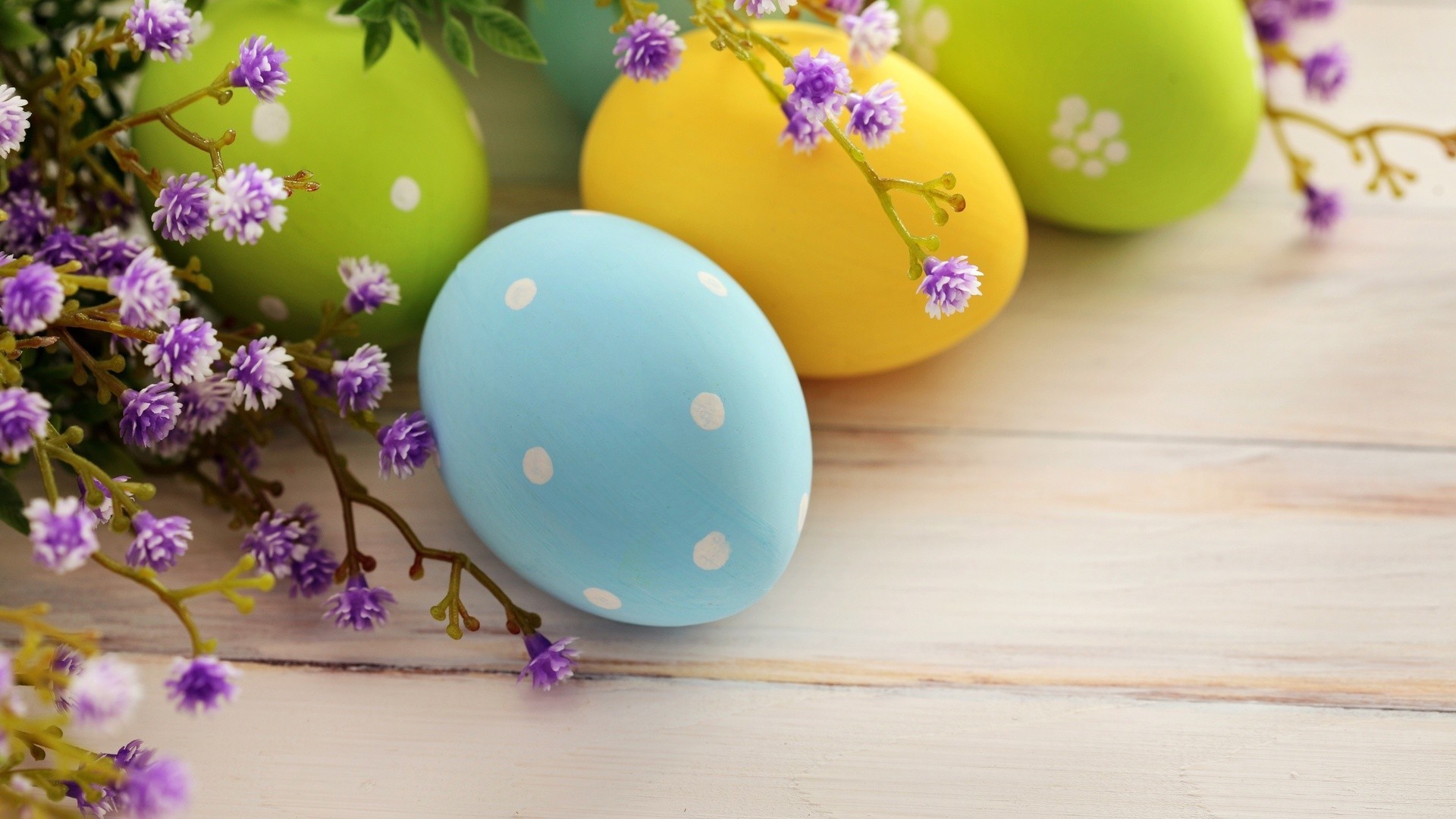 easter flower decoration color desktop egg nature traditional celebration table bright