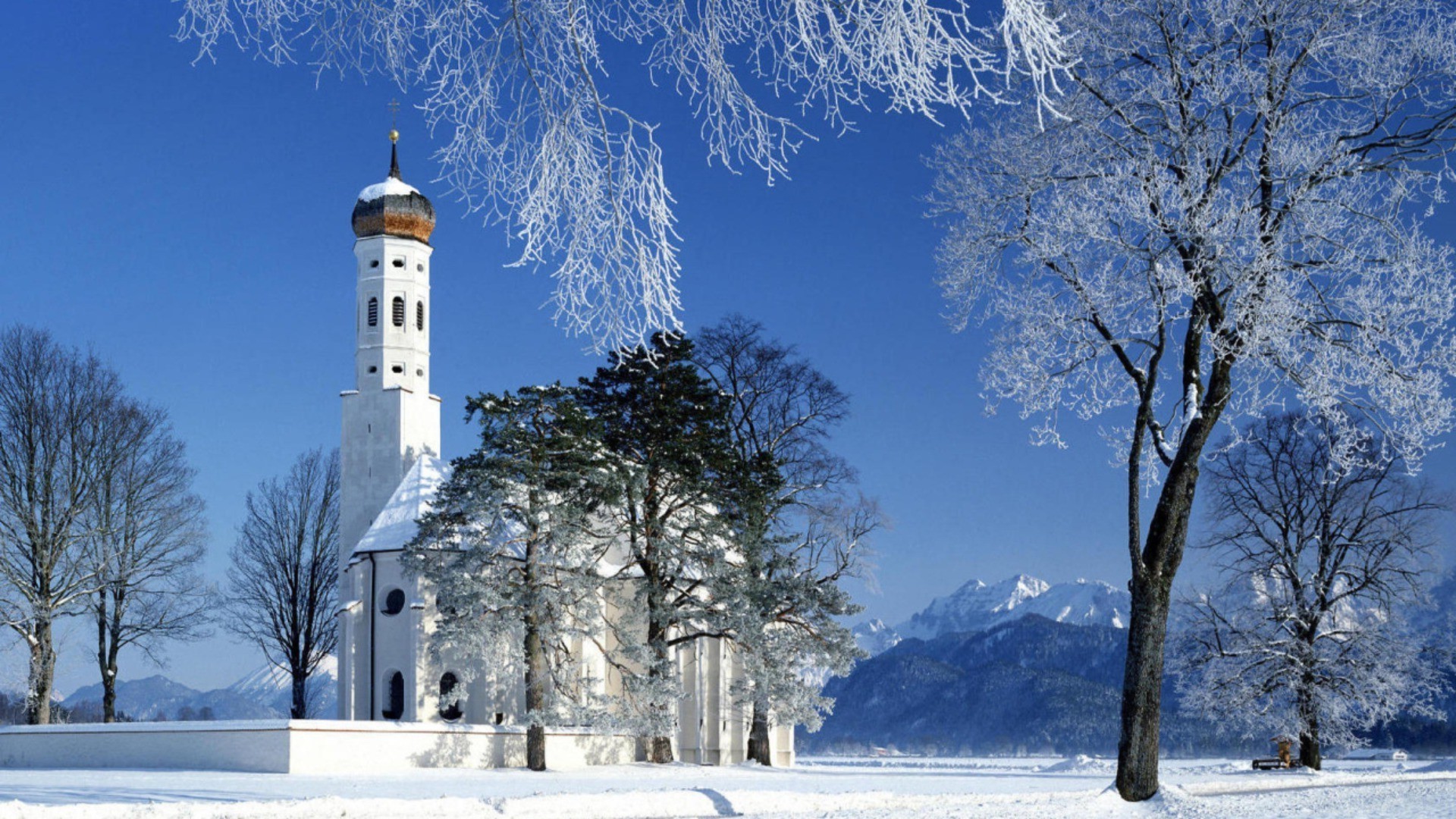 hiver neige froid gel bois congelé glace bois saison paysage nature scénique neige-blanc météo à l extérieur ciel beau temps voyage