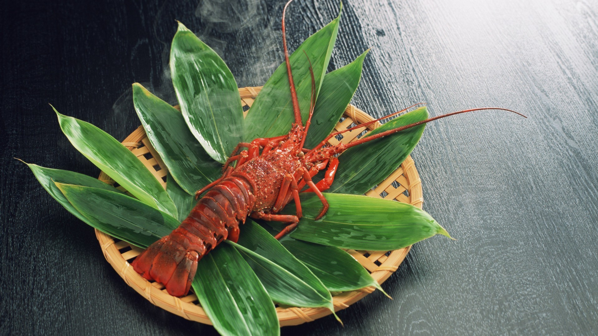 yiyecek ve içecek yaprak doğa omurgasızlar flora yemek