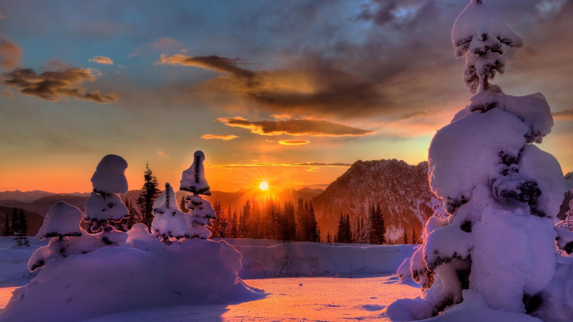 inverno neve freddo ghiaccio all aperto natale tramonto viaggi albero congelato cielo gelo alba