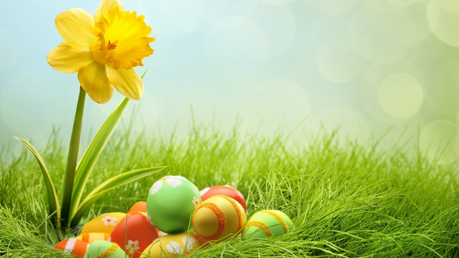 easter grass nature field hayfield summer flower season color garden leaf lawn flora fair weather bright beautiful sun