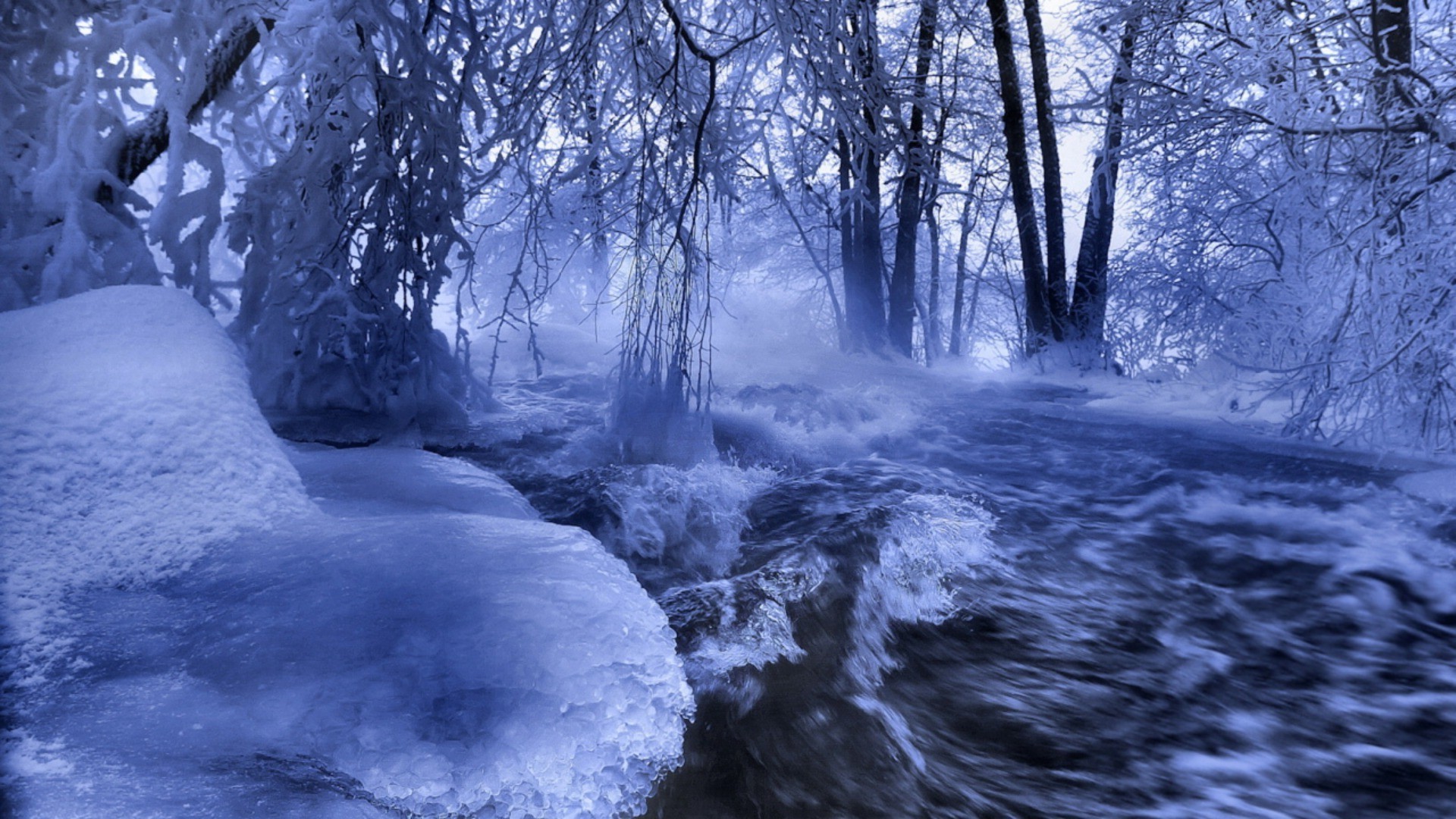 fiumi stagni e torrenti stagni e torrenti neve inverno freddo ghiaccio paesaggio natura congelato legno legno acqua gelo all aperto scenico fiume stagione parco tempo ambiente bel tempo