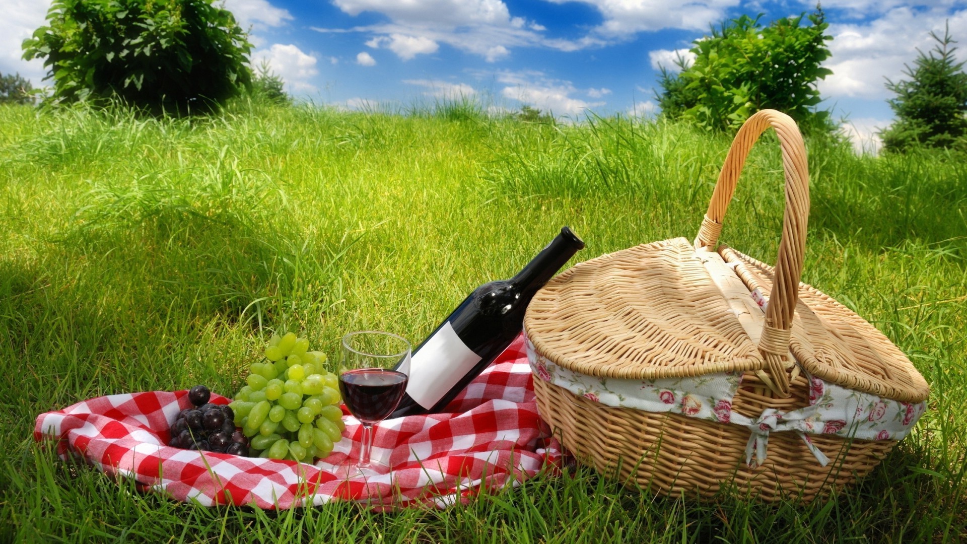 food & drink basket grass wicker summer nature picnic pasture food garden outdoors wood lawn relaxation wooden fruit healthy apple