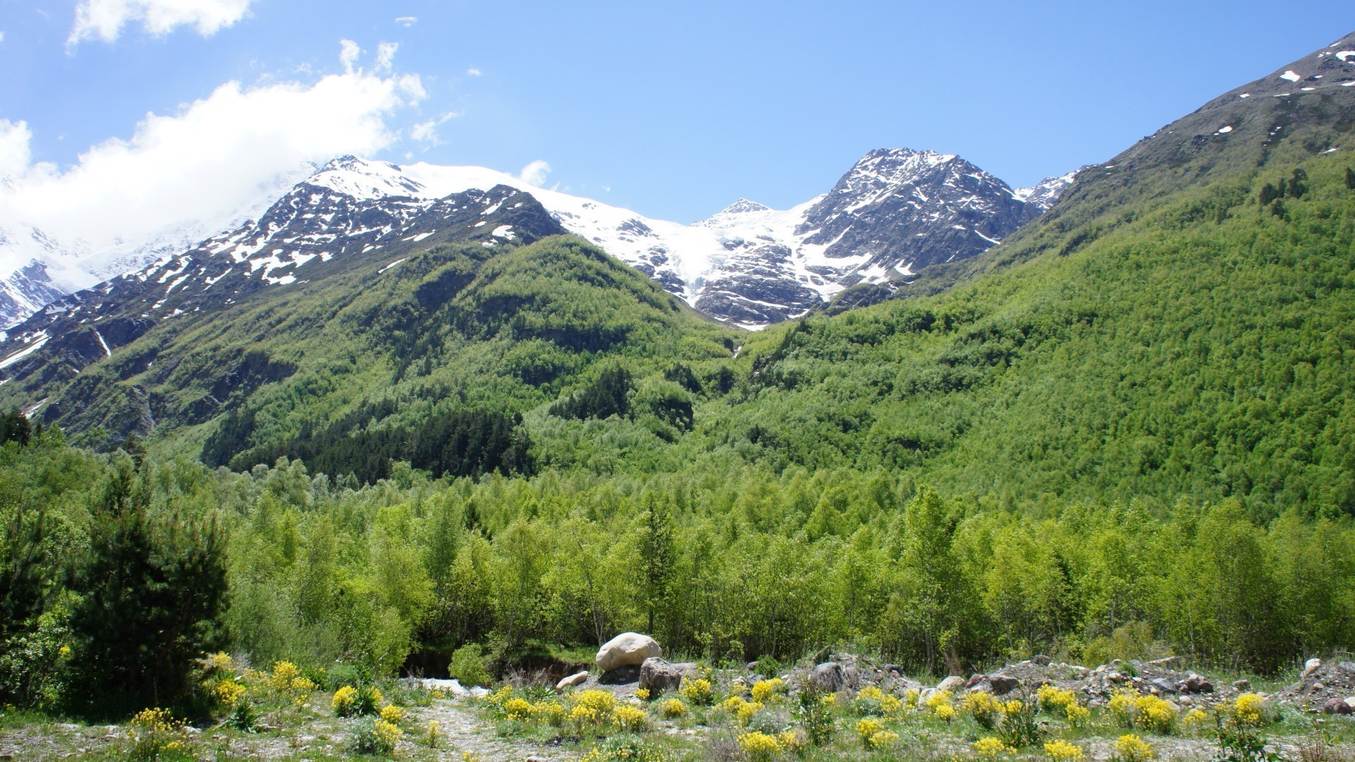 山 山 景观 自然 风景 旅游 山谷 户外 木材 天空 山 奇观 山峰 夏天 风景 树 雪 干草 草 场景