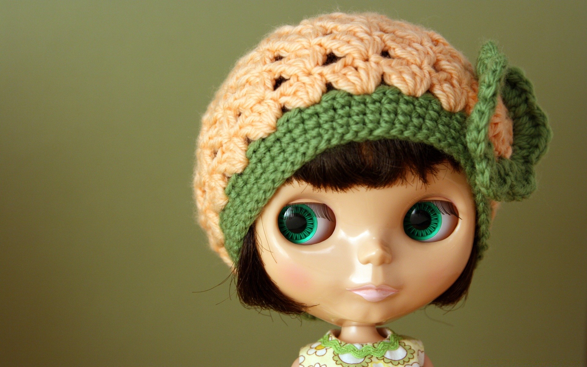 macro child winter toy eye color cute