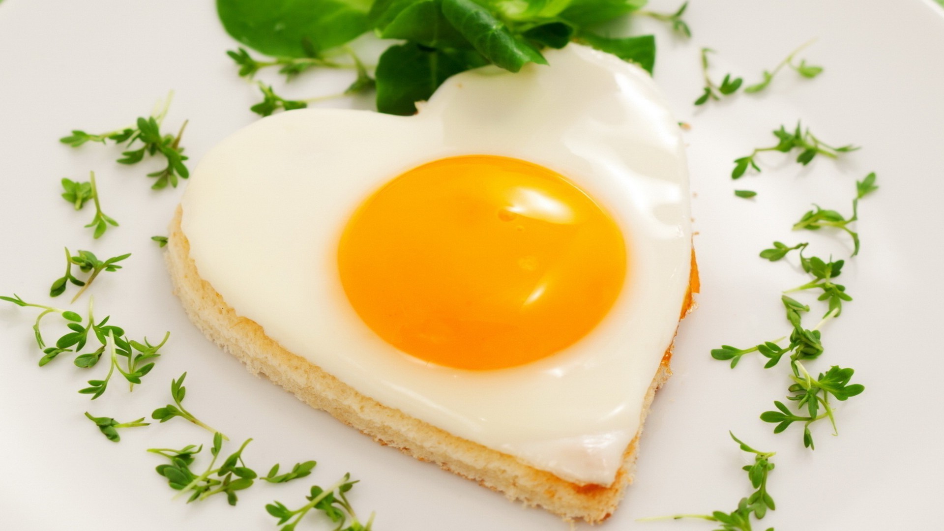 desayuno huevo yema de huevo comida comida tostadas delicioso productos lácteos amanecer comida almuerzo cocina hoja pan mantequilla saludable placas colesterol