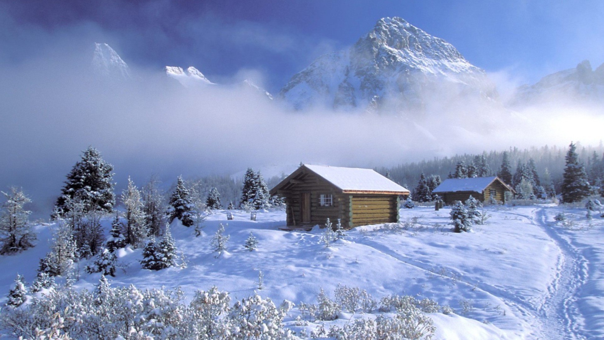 winter schnee kälte hütte chalet gefroren holz frost eis berge verschneit malerisch resort landschaft saison wetter evergreen schneewehe baum frostig