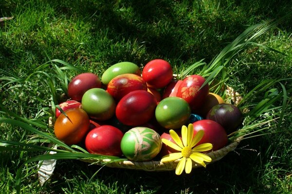 Oeufs de Pâques sur l herbe verte