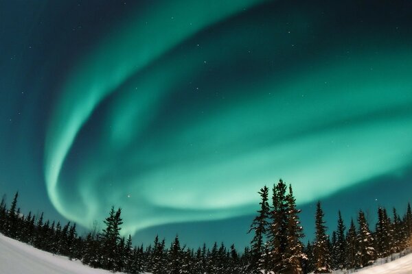 Northern Lights in Siberia