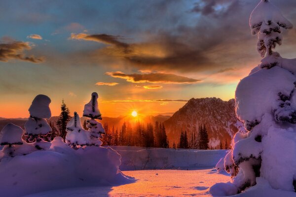 Sunset in golden rays over the winter forest