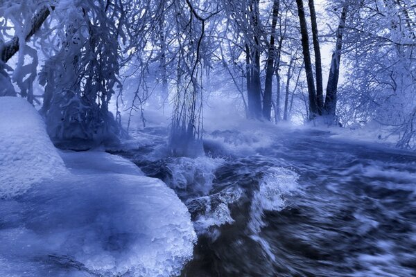 Winter river in the forest. Snow and water