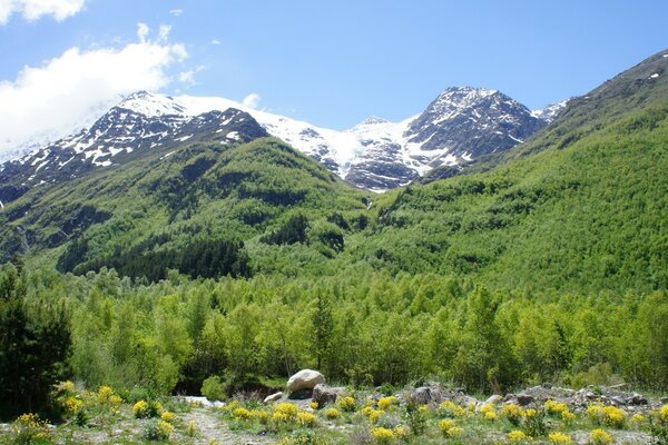 Picturesque landscape of mountains and meadows