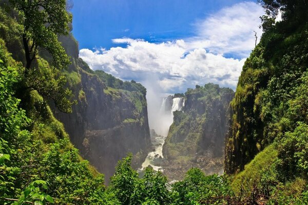 Hermosa cascada en medio de un exuberante chorro de madera sus hojas