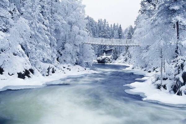 Winter landscape of the bridge over the river