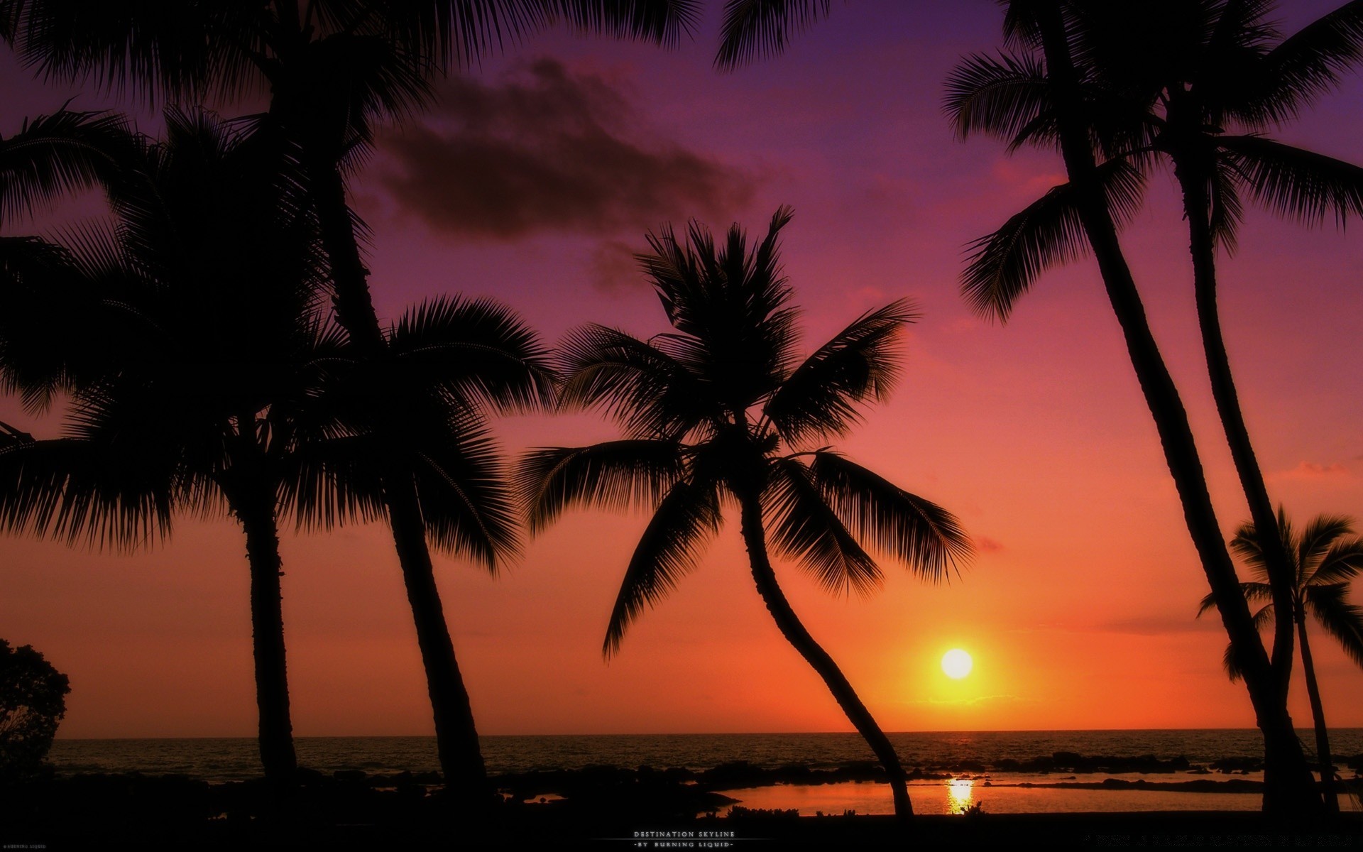 meer und ozean strand sonnenuntergang sonne tropisch palmen sand ozean meer kokosnuss insel exotisch wasser landschaft baum sommer silhouette reisen dämmerung dämmerung