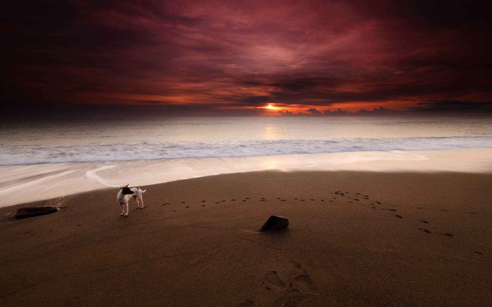 mar y océano playa arena puesta de sol agua mar océano mar surf sol amanecer paisaje noche paisaje anochecer viajes buen tiempo desierto