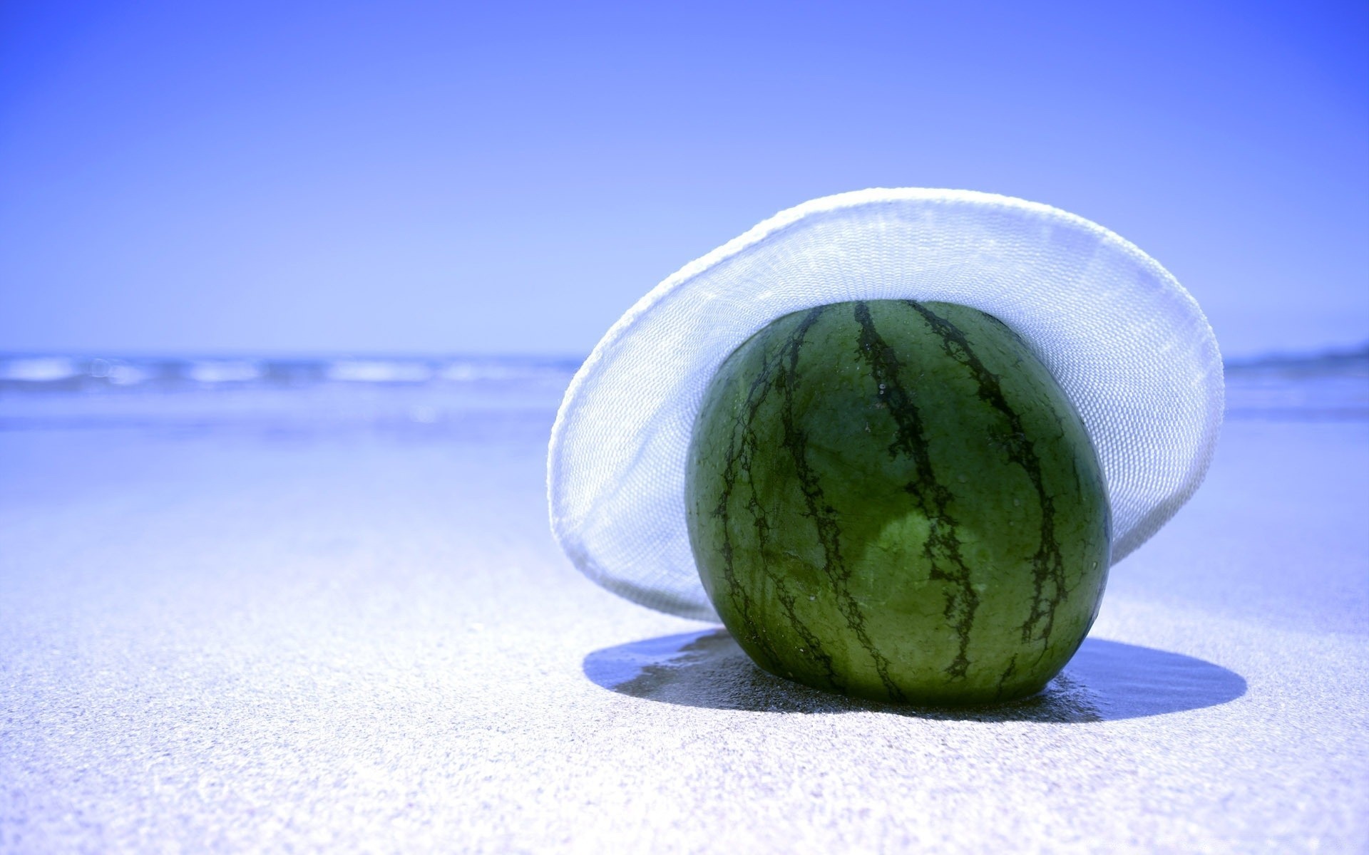 mar y océano comida escritorio naturaleza muerta naturaleza verano