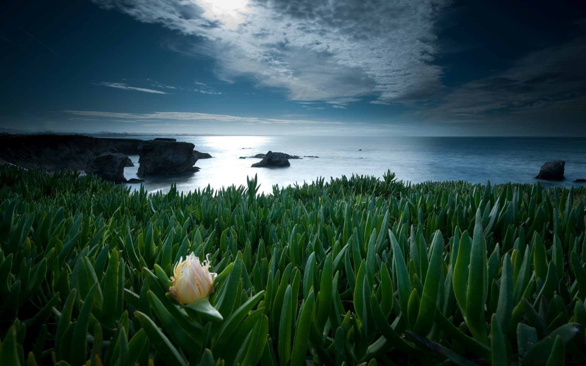 mare e oceano acqua paesaggio cielo natura mare oceano tramonto viaggi spiaggia