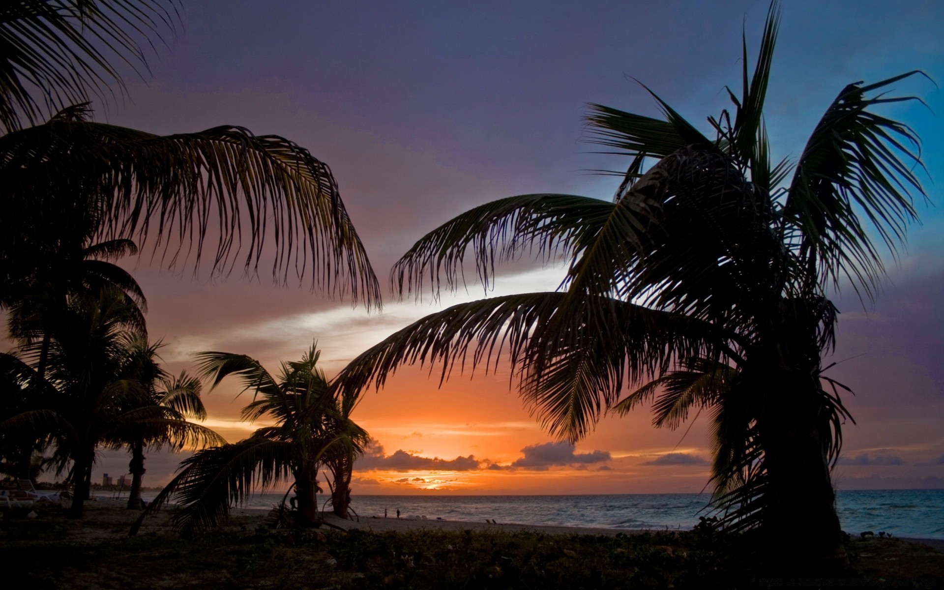 meer und ozean strand meer ozean palmen sonnenuntergang baum wasser insel tropisch meer reisen landschaft sonne resort himmel abend dämmerung urlaub exotisch