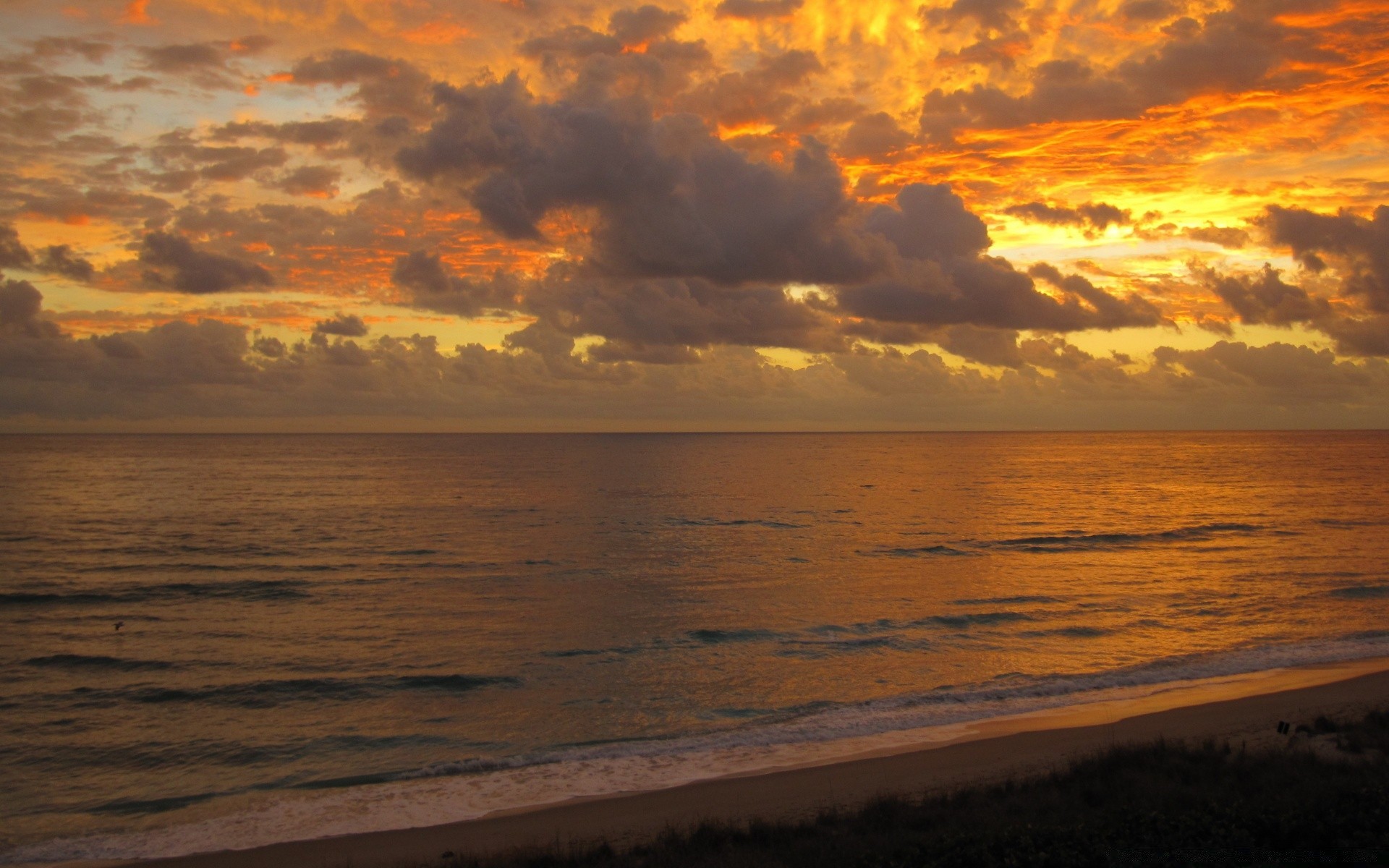 sea and ocean sunset water dawn evening dusk beach sea ocean sun seascape landscape seashore sky backlit fair weather daylight