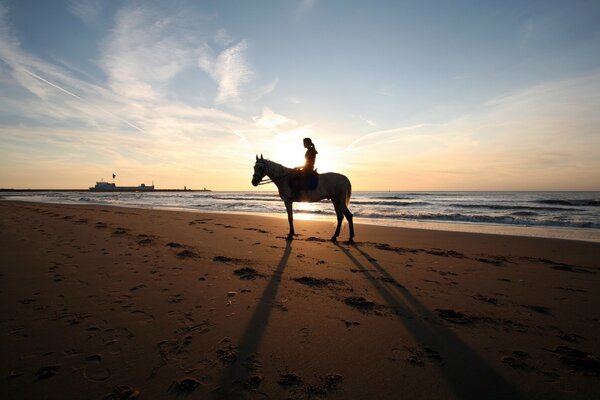 A girl on a horse on the sea beach at sunset