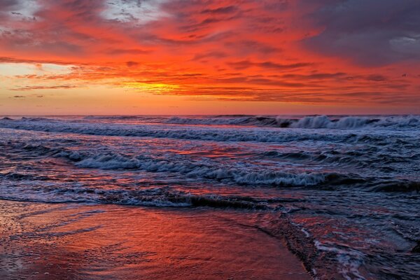 Scharlachroter Sonnenuntergang über dem Meer