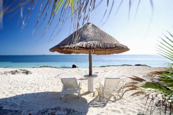 Gazebo sulla riva dell oceano soleggiato