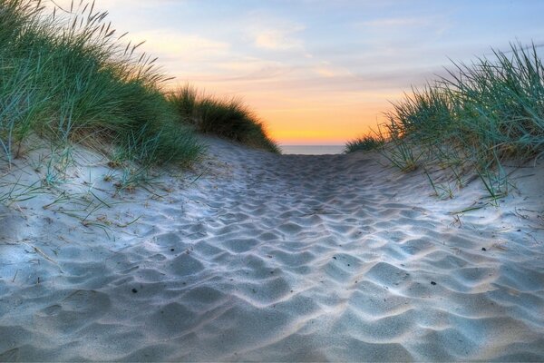 Caminho arenoso coberto de areia para o mar