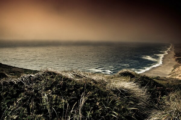 A grassy edge in front of a sandy cliff and an endless gloomy sea