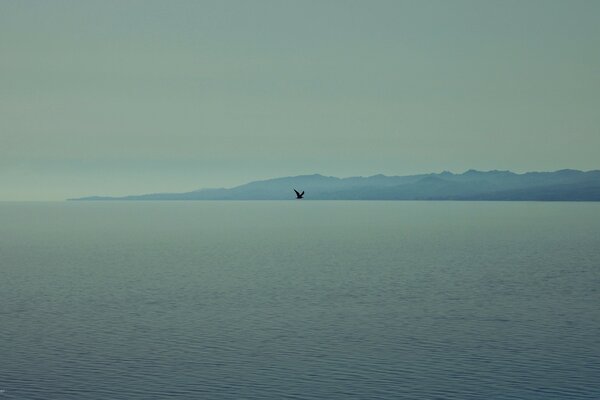 Fog Sea Ocean Bird Mountains Landscape Horizon Beauty