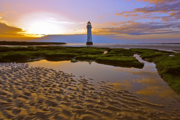 Faro solitario rodeado de agua y vegetación verde al atardecer