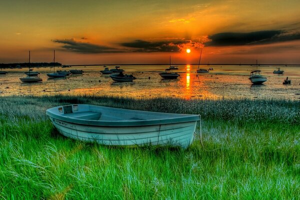 Coucher de soleil lumineux sur le lac vert