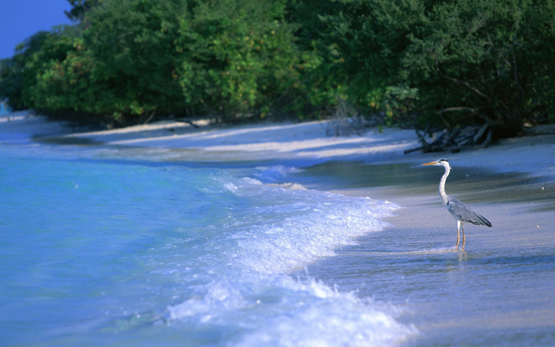 mar e oceano água natureza viagens ao ar livre praia lago verão céu oceano paisagem reflexão árvore