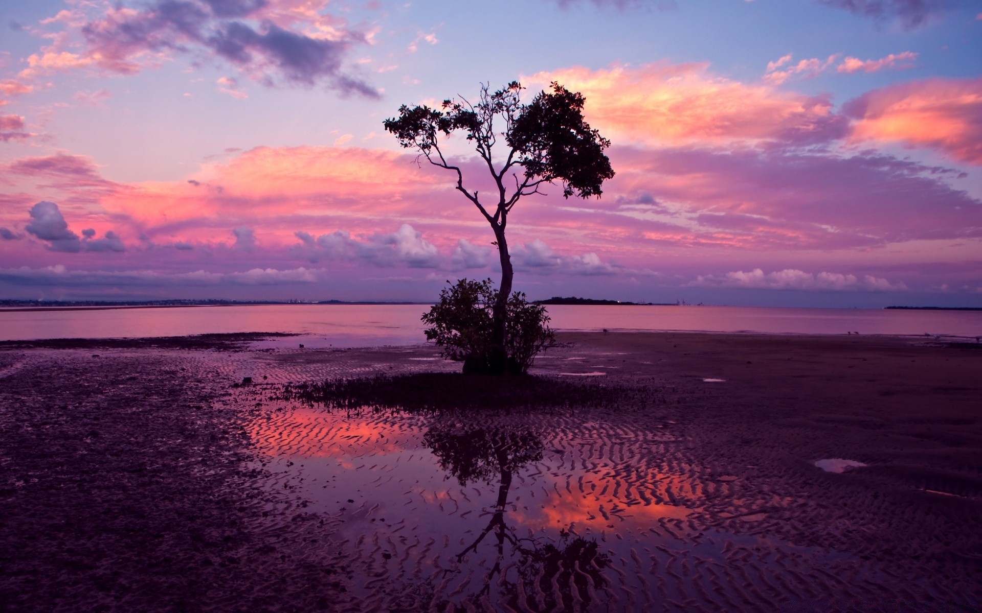 mer et océan coucher de soleil eau soir crépuscule aube paysage ciel mer mer océan plage soleil nature été scénique arbre nuage paysage à l extérieur