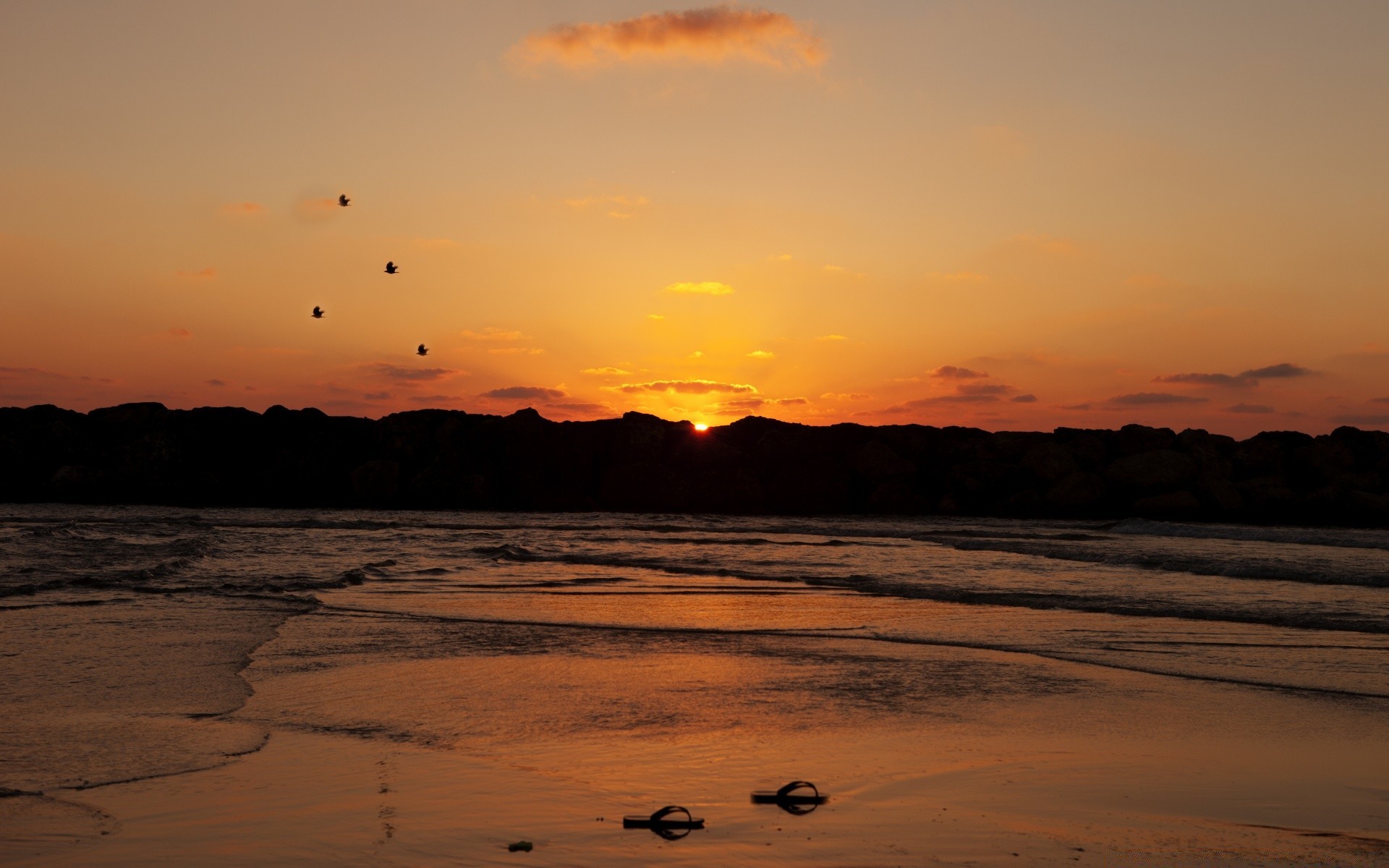 sea and ocean sunset water beach dawn evening sea ocean dusk sun seashore seascape