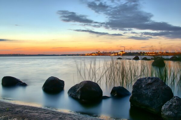 Mer, pierres, plantes dans l eau