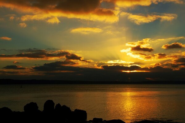 A beautiful sunset over a calm sea, the rays of the setting sun painted the surface of the water and clouds in golden color