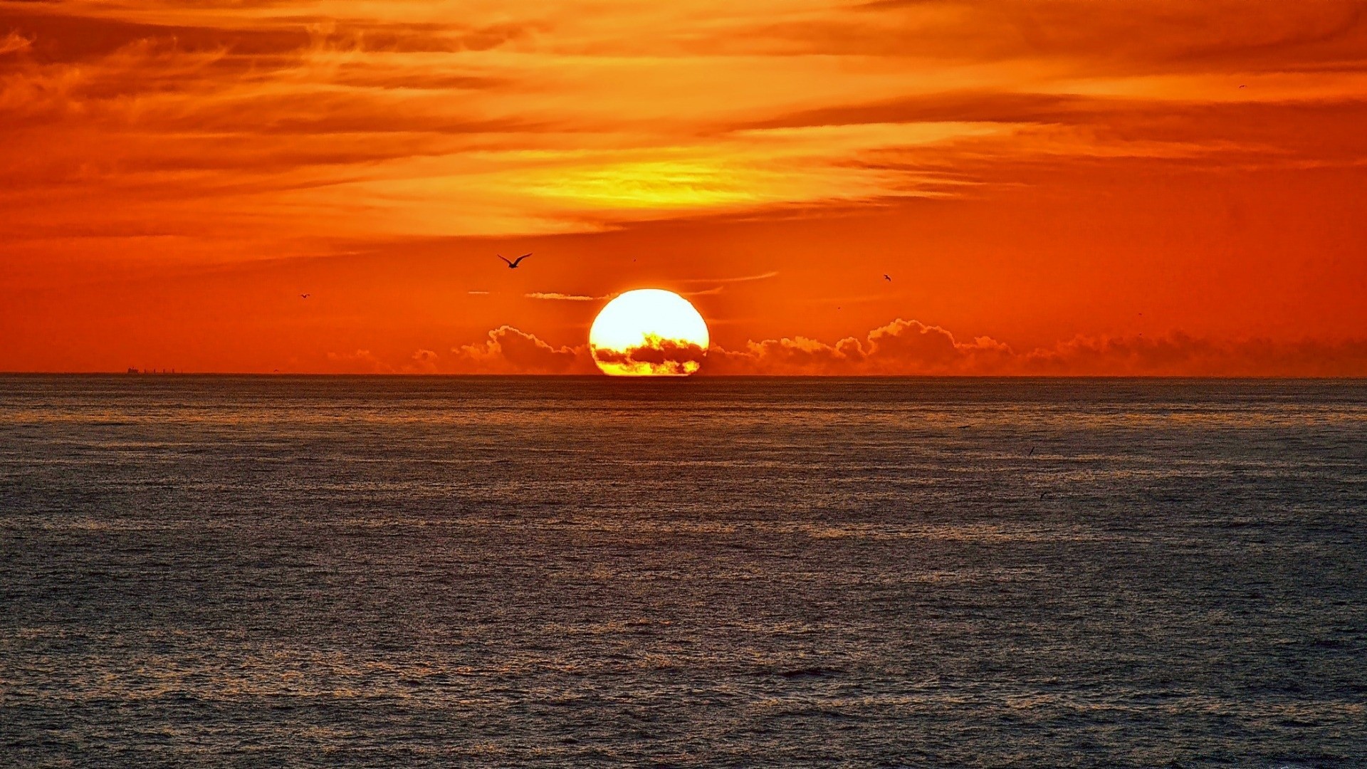 mer et océan coucher de soleil eau océan soleil aube soir crépuscule mer plage paysage ciel mer paysage beau temps réflexion lumière